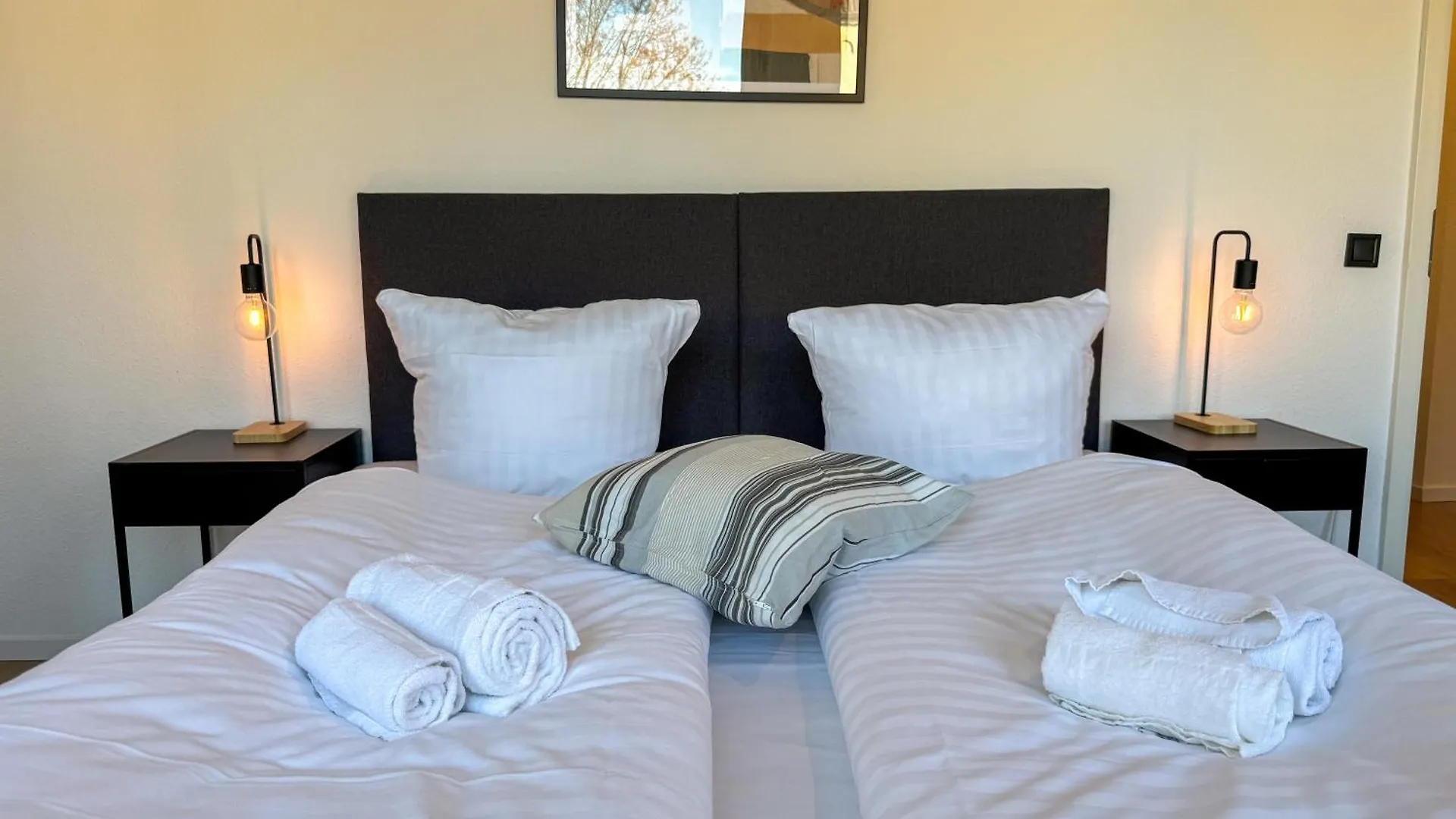 Apartment Duesseltal Messe 100Qm Dusseldorf 0*,
